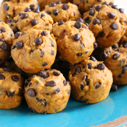 Pumpkin Chocolate Chip Mini Muffins {Gluten-free, Dairy-free}