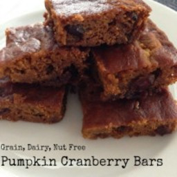 pumpkin-cranberry-bars-grain-free-dairy-free-nut-free-2021492.jpg