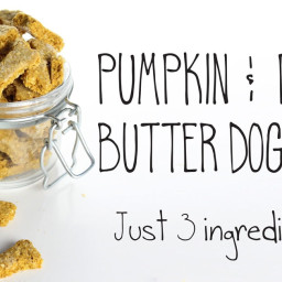 Pumpkin & Peanut Butter Dog Treats (just 3 ingredients!)