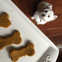 Pumpkin Peanut Butter Oatmeal Dog Biscuits