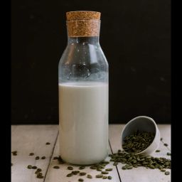 Pumpkin Seed Milk (Pepita Milk) Recipe
