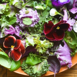 Purple Kale and Pansy Salad