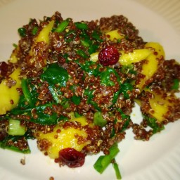 quinoa-and-mango-salad-4.jpg