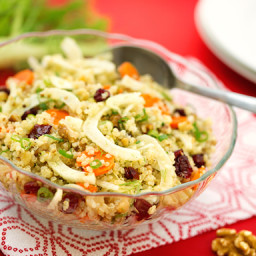 Quinoa Salad with Fennel and Cranberries