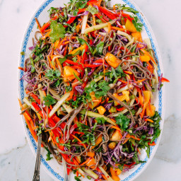 Rainbow Noodle Salad with Fruity Ginger Soy Vinaigrette