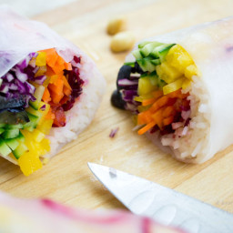 Rainbow Salad Rolls