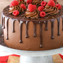 Raspberry Chocolate Layer Cake