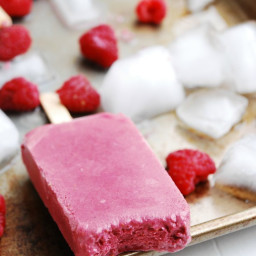 Raspberry Chocolate Protein Popsicles (Gluten, dairy, egg, soy, peanut and 