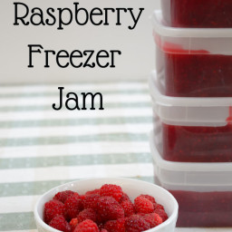 Raspberry Freezer Jam