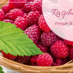 Raspberry Rose Vinegar & Salad Dressing Recipe