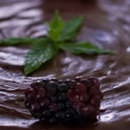 Brownies with Chocolate Frosting (EASY & Raw!)
