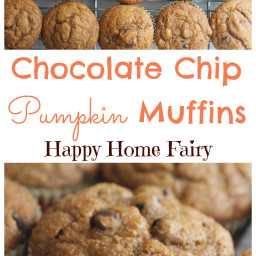 Recipe - Chocolate Chip Pumpkin Muffins