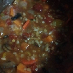 Red Lentil and Barley Vegetable Soup