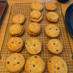 reeses-pieces-cookies-ed10ff603a272bcd800a2816.jpg