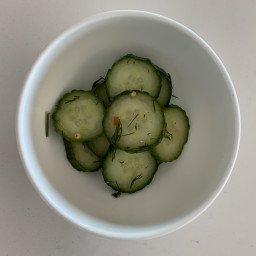 Refigerator Pickled Cucumber Chips+++++K