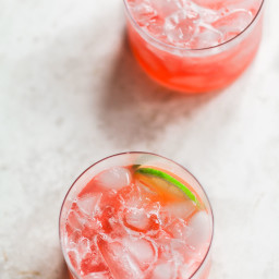 Refreshing Rhubarb Cocktail with Tequila and Lime