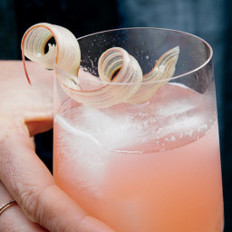 rhubarb-fennel-gin-cocktail-fdf816-0dcc000199bb8b48dad85c09.jpg