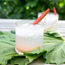 Rhubarb Sparkler (A Cocktail)