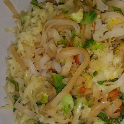 rice-noodles-with-brussel-sprouts-fc9ed68e984d100060179282.jpg