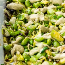 Roasted Brussel Sprouts and Edamame With Curry Sunflower Seed Sauce [Vegan,