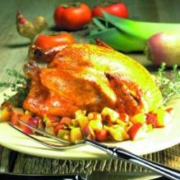 roasted-chicken-on-a-bed-of-winter--2.jpg