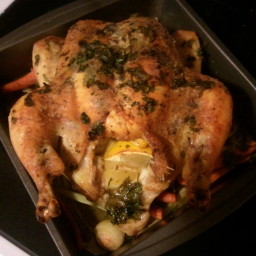roasted-chicken-with-cilantro.jpg