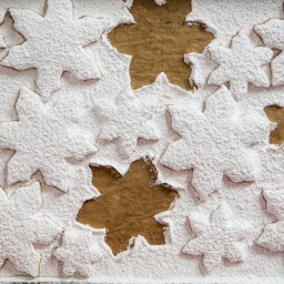 Rolled Sugar Cookie Cutouts Recipe