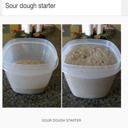 Rye Sour Dough Starter