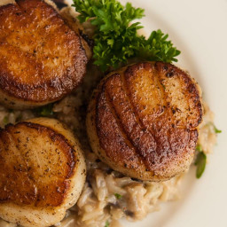 Sage Butter Seared Scallops with Creamy Brie & Roasted Garlic Basmati