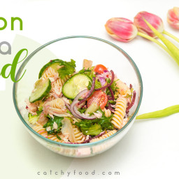 salmon-pasta-recipes-salad-recipes-salmon-pasta-salad-recipe-2557873.jpg