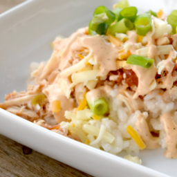 salsa-chicken-and-risotto-2270667.png