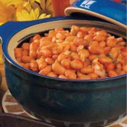 Salsa Pinto Beans Recipe
