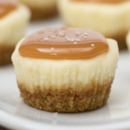 Salted Caramel Cheesecake Minis