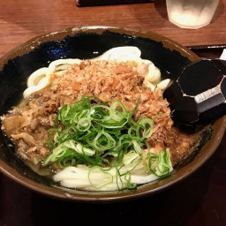Sanuki Noodles