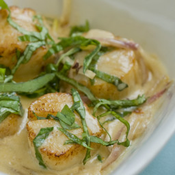 Scallops With Cream and Basil