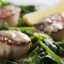 Scallops with Lemon Drizzle