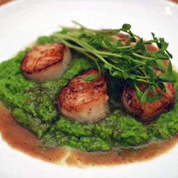 Scallops with Pea Puree and Vermouth Sauce