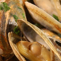 scott-ures-clams-and-garlic-1469425.jpg