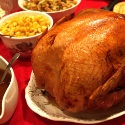 seans-thanksgiving-turkey-and-gravy.jpg
