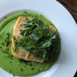 Seared Halibut with Sweet Pea Sauce and Fresh Herb Salad