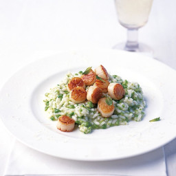 Seared scallops on pea and mint risotto