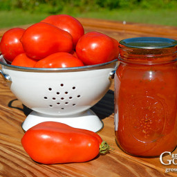 Seasoned Tomato Sauce Recipe