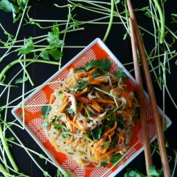 Sesame Chicken Shirataki Noodle Stir-Fry Recipe