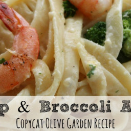 Shrimp and Broccoli Alfredo | Copycat Olive Garden Recipe