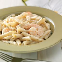 shrimp-penne-with-garlic-sauce-for-two-2586135.jpg