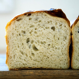 Simple Sourdough Toasting or Sandwich Bread