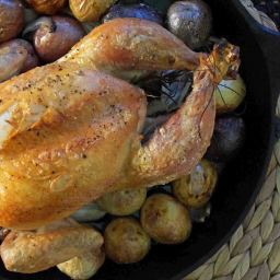 Skillet Roasted Chicken & Potatoes