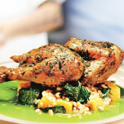Skillet-Roasted Chicken with Farro and Herb Pistou