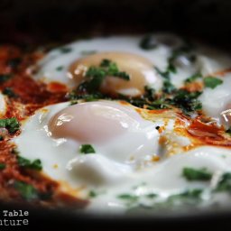 Skillet Eggs with Tomatoes & Peppers | Shakshouka