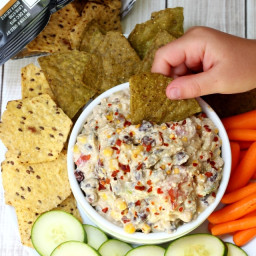 Skinny Mexican Cottage Cheese Dip